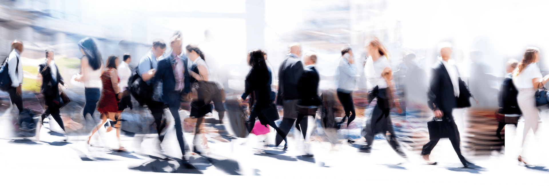 Kontakt zu Jan-P. Hammesfahr Consulting